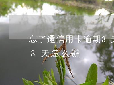 忘了還信用卡逾期3天-忘了還信用卡逾期3天怎么辦