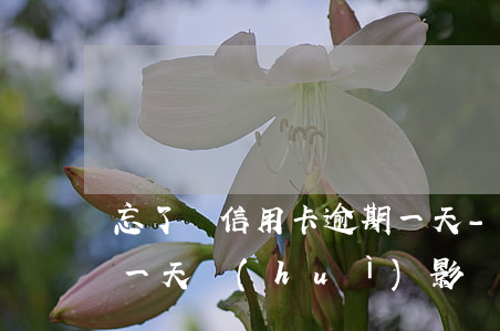 忘了還信用卡逾期一天-忘了還信用卡逾期一天會(huì)影響征信嗎