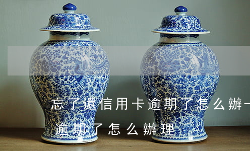 忘了還信用卡逾期了怎么辦-忘了還信用卡逾期了怎么辦理