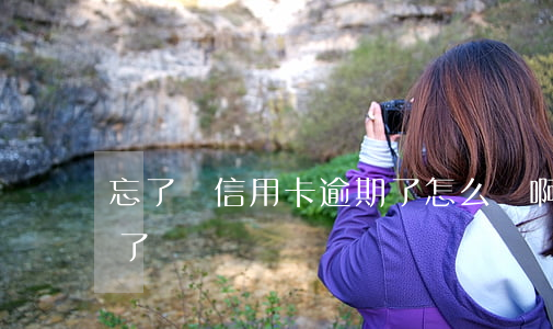 忘了還信用卡逾期了怎么辦啊(忘記還信用卡了)