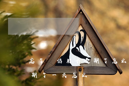 忘了還信用卡逾期了怎么辦(忘記還信用卡逾期了一天怎么辦)