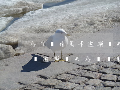 忘了還信用卡逾期兩天會(huì)上征信嗎 逾期兩天忘記還款會(huì)上征信嗎