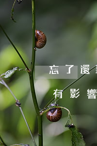 忘了還款逾期幾個(gè)小時(shí)有影響嗎-忘了還款逾期幾個(gè)小時(shí)有影響嗎怎么辦