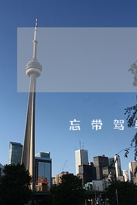 忘带驾驶证扣多少钱?(忘带驾照扣分吗)
