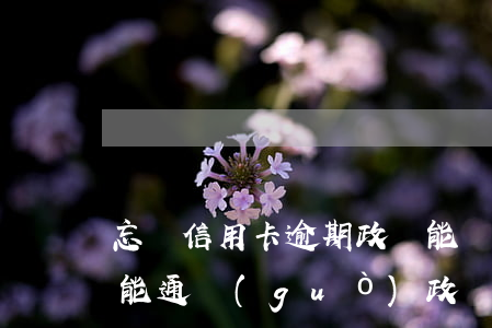 忘帶信用卡逾期政審能過(guò)嗎 逾期能通過(guò)政審嗎