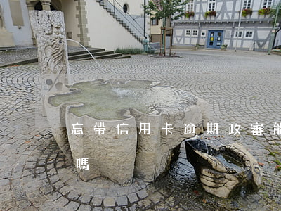 忘帶信用卡逾期政審能過嗎 逾期能通過政審嗎