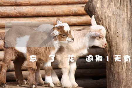 忘記了還花唄逾期1天有影響嗎-