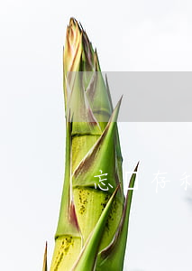忘記存利息一天 忘記存利息一天了怎么辦