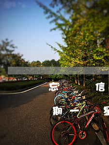 忘記還信用卡10天逾期了(忘記還信用卡逾期一個星期怎么辦)