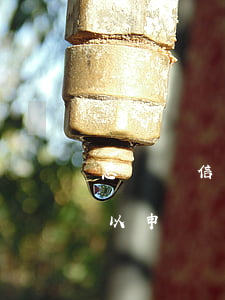 忘記還信用卡了逾期怎么辦(信用卡逾期了可以申訴嗎)