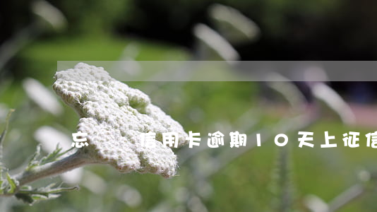 忘記還信用卡逾期10天上征信了