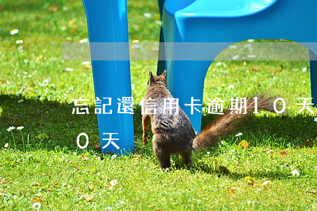 忘記還信用卡逾期10天（信用卡還款逾期30天）