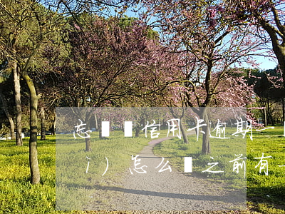 忘記還信用卡逾期一個(gè)月會(huì)怎么辦（之前有一筆信用卡逾期怎么解決）