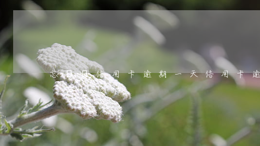忘記還信用卡逾期一天（信用卡逾期還了一天）