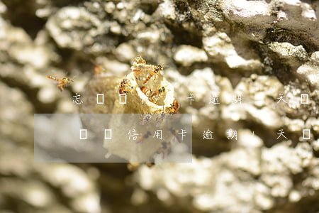 忘記還信用卡逾期一天會(huì)有不良記錄（信用卡逾期1天會(huì)有記錄）