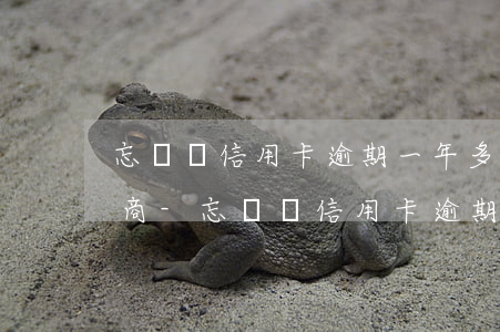 忘記還信用卡逾期一年多怎么協(xié)商-忘記還信用卡逾期一年多怎么協(xié)商還款