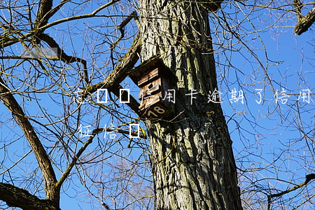 忘記還信用卡逾期了（信用卡忘還錢逾期會上征信嗎）