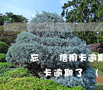 忘記還信用卡逾期了可以申訴嗎（信用卡忘記還卡逾期了會(huì)坐牢嗎）