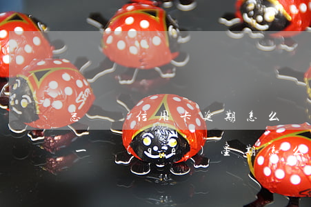 忘記還信用卡逾期怎么辦(忘記還信用卡逾期一個(gè)星期怎么辦)