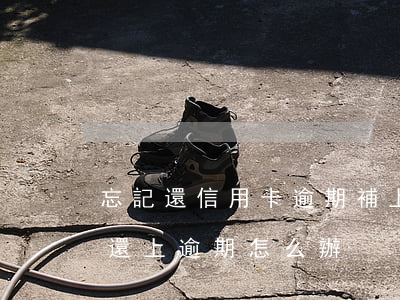 忘記還信用卡逾期補上(忘記還信用卡 一周后還上逾期怎么辦)