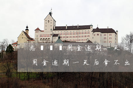 忘記還備用金逾期一天后拿不出-忘記還備用金逾期一天后拿不出錢怎么辦