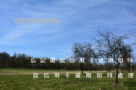 忘記還款信用卡逾期如何處理最快-忘記還款信用卡逾期如何處理最快方法
