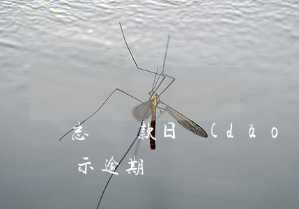 忘記還款日導(dǎo)致逾期(還款后仍顯示逾期)