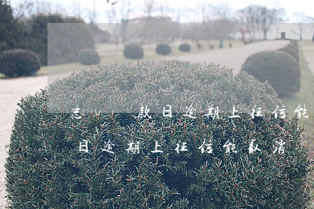 忘記還款日逾期上征信能取消嗎-忘記還款日逾期上征信能取消嗎怎么辦