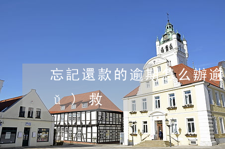 忘記還款的逾期怎么辦(逾期還款如何補(bǔ)救)
