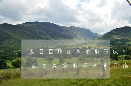 忘記還款造成逾期可以申請撤銷嗎-忘記還款造成逾期可以申請撤銷嗎怎么辦