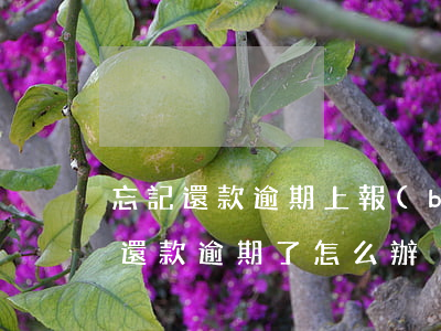 忘記還款逾期上報(bào)人行(銀行忘記還款逾期了怎么辦)