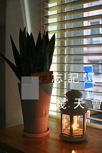 忘記還款逾期了十幾天-忘記還款逾期了十幾天會入征信嗎