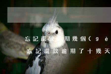 忘記還款逾期幾個(gè)小時(shí)(忘記還款逾期了十幾天)