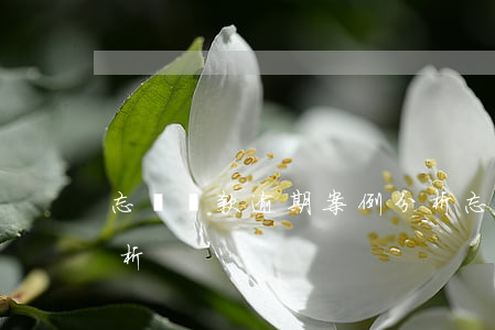 忘記還款逾期案例分析(忘記還款逾期案例分析)