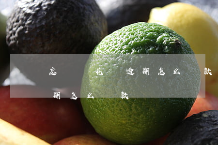忘記還花唄逾期怎么還款(我的支付寶花唄逾期怎么還款)