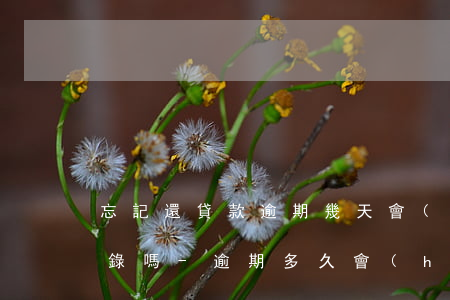忘記還貸款逾期幾天會(huì)有不良記錄嗎-逾期多久會(huì)被列入失信人名單