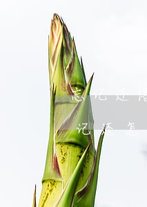 忘记还信用卡两天怎么办（信用卡逾期4天忘记还怎么办）