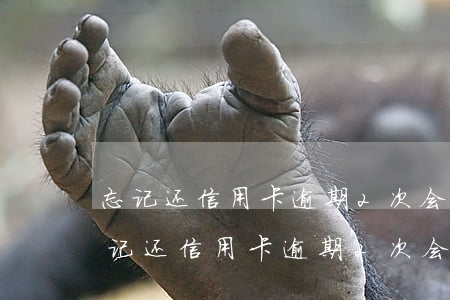 忘记还信用卡逾期2次会有不良记录吗-忘记还信用卡逾期2次会有不良记录吗怎么办