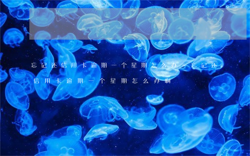 忘记还信用卡逾期一个星期怎么办-忘记还信用卡逾期一个星期怎么办啊