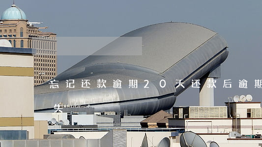 忘记还款逾期20天(还款后逾期记录多久消失)