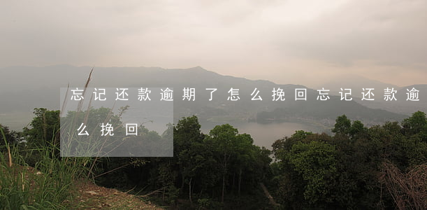 忘记还款逾期了怎么挽回(忘记还款逾期了怎么挽回)