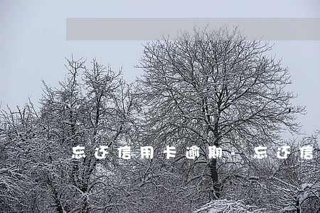 忘还信用卡逾期-忘还信用卡逾期了四天
