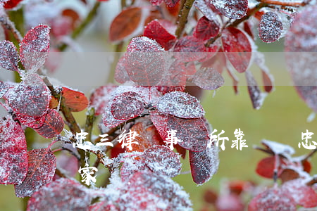 忠三律師事務所靠譜嗎(忠縣律師事務所有幾家)
