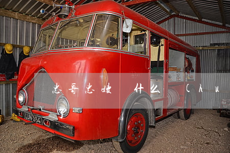 忠哥忠嫂為什么會(huì)離婚(忠哥怎么了)