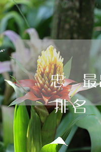 忠縣最出名的律師(忠縣律師事務(wù)所排名)