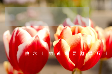 快六十的爸媽要離婚(五十多歲的父母離婚)