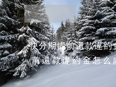 快分期提前還款違約金怎么處理-快分期提前還款違約金怎么處理的