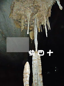 快四十歲離婚了怎么辦
