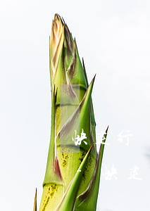 快建行貸提前還款后沒(méi)有額度了-快建行貸提前還款后沒(méi)有額度了怎么辦
