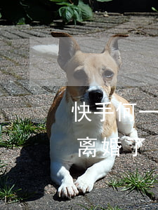 快手何一诺爸妈为啥离婚(快手柠檬诺为什么离婚了)